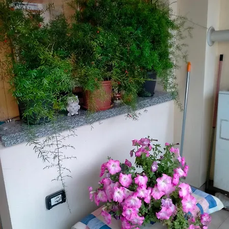 Apartament Livia Casaltone