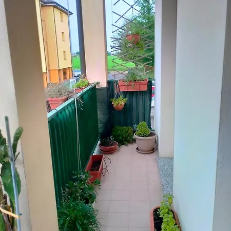 Apartament Livia *