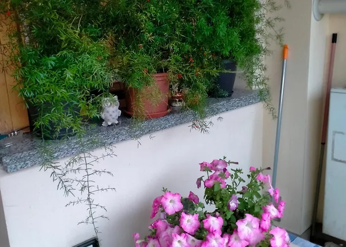 Lägenhet Livia Casaltone